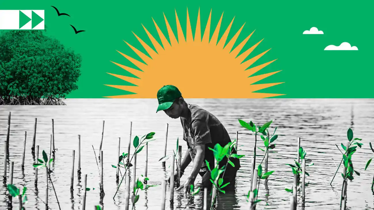 climate adaptation hero